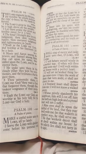 A Psalm of Praise - Psalm 100 KJV #praise #bible #worship #audiobible