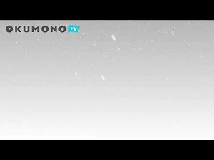 【フリー素材】雪の降る背景【OKUMONO＋V】