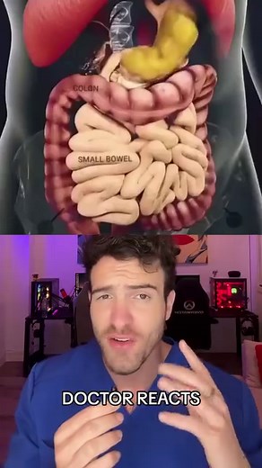 90K views · 748 reactions | How your food gets digested | LifeOfADoctor | Facebook