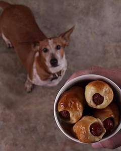 What's better than a dog? A mini dog! (Or as many as you can carry.) 🌭🐶 | Auntie Anne's