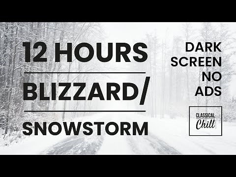 12 Hours Snowstorm / Blizzard - Sounds For Sleeping, Relaxing & Meditation [BLACK SCREEN] No ads