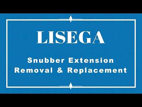 LISEGA Snubber Extension Removal & Paddle Installation For Snubber Testing