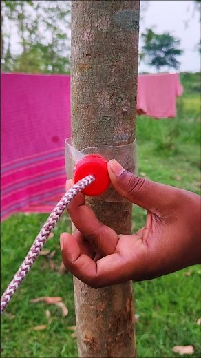 This Clothesline Set-Up Is Genius For Every Day Used!