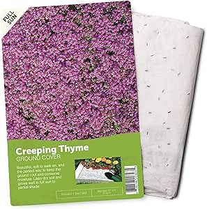 BloomingBulb Seed Mat - Easy to Plant and Grow Garden Seeds - Creates Fragrant, Vibrant Flower Garden – Customizable Flower Beds- Creeping Thyme Ground Cover