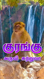 425K views · 6.5K reactions | வால்பாறை குரங்கு அருவி சுற்றுலா...