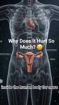 What Really Causes Period Cramps? The Science Behind Menstrual Pain 🩸