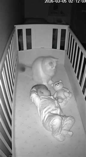 Cat caught on baby monitor sneaking into crib! 🥺🐾