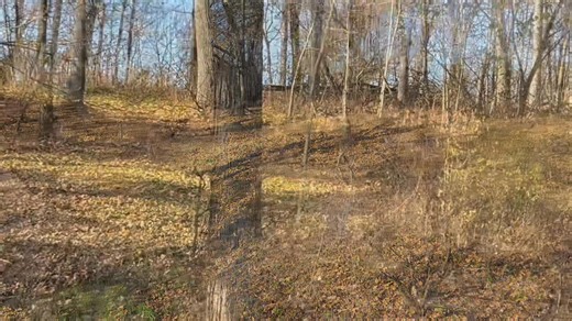 13K views · 102 reactions | This is a longer video of a story of a close call with a shooter today. Also a bit of chasing. A sample of a buck doing exactly what I want a mature buck to do. Note the shot opportunities this setup created. Love this new setup - I think I had deer within 75 yards of me for at least 50% of the day! | Bowhunting Fanatic | Facebook