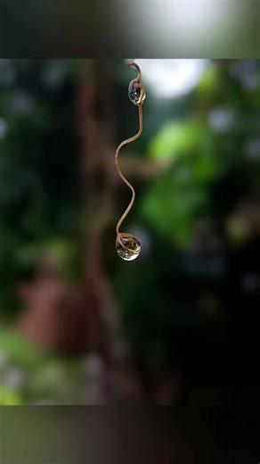 The ultimate camera app for night photography and 4K video recording