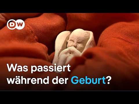 Vaginale Geburt erklärt: Der sicherste Weg für Mutter & Kind | Sex & the Body 15