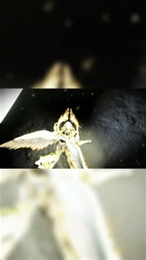 Heaven and Hell | Warframe Captura Edit