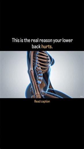Physiogain on Instagram: "Before you watch this— the visuals may not be perfectly anatomical. This video is intentionally designed to catch your attention, so you can understand the real issue happening inside your spine when you sit for long hours. Now let’s break it down clearly and correctly: • Your spine has natural curves — cervical, thoracic, lumbar. • These curves help distribute load and reduce stress on the discs. • In neutral posture, the discs stay hydrated and pressure stays low. Whe