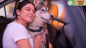 Top Tech Gadgest by Todays Gears - Dailymotion