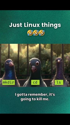 Case sensitivity in Linux be like