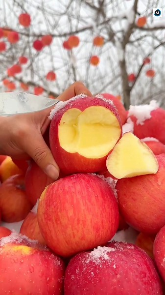 Unique Way to Collect Apples! 🍎✨