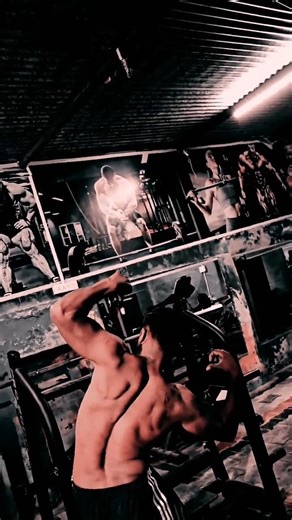 sv workout at gym #motivation #finallyback #shoulderexercise #musclebuliding