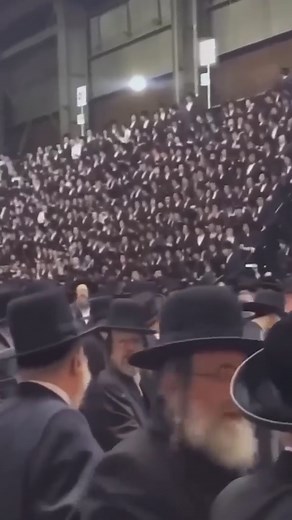 21K views · 425 reactions | when we go on tour  | Social Club Misfits | Facebook