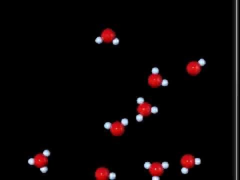Self Ionization of Water