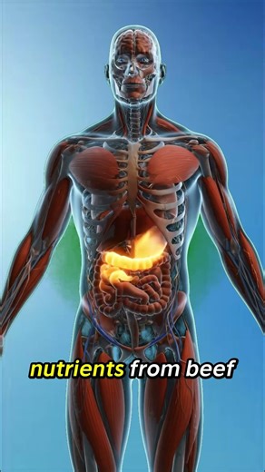 The Science of Meat:How Different Types of Meat Affect Your Body and Long-Term Health #health #facts
