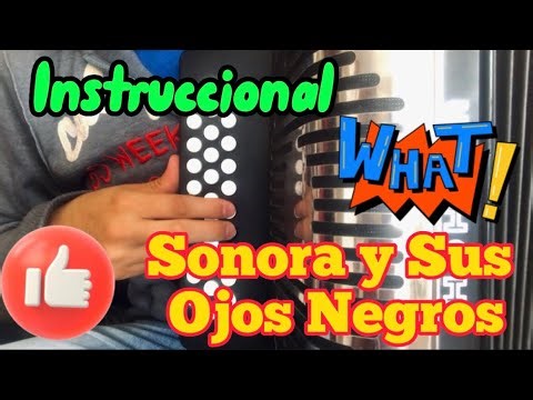 Tutorial corrido Sonora y sus ojos negros//Acordeón de Sol y Fa