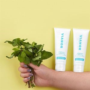 [Hot Item] Top Supplier Calcium and Fluoride Herbal Mint Pristine Gleam Adult Toothbrush-and-Toothpaste