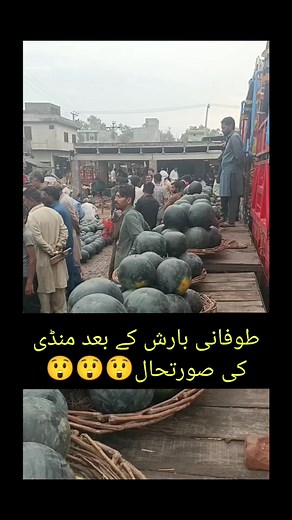 #daskamandi 😲High Rate😲😲 #viralreelsfb #watermelon #agriculture #fruits #viralreelsシ #growmyaccount #ViralFacebook #information #Update #foryouシ #foryoupageシ #fyp | Shahid Ghouri