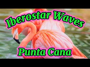 Iberostar Waves Punta Cana All-Inclusive Resort‪@Nika4474‬