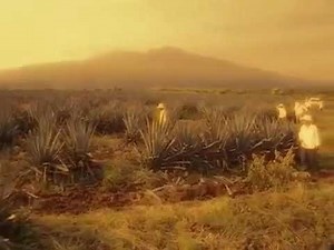 Destilando Amor Capítulo 101 HD (Parte 2/2)