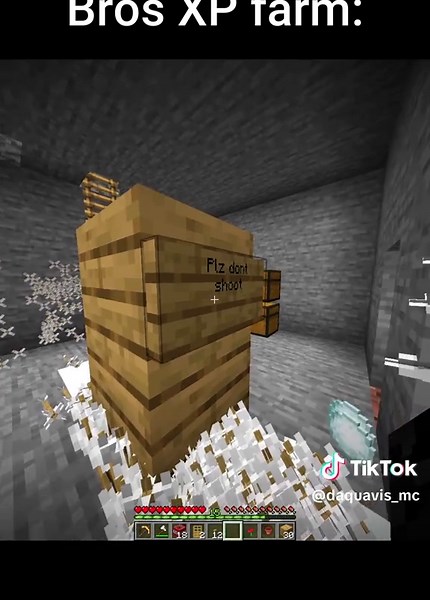 Minecraft Moments: Memes and Java Adventures