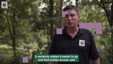 9.6K views · 141 reactions |  Max the supersniffing springer spaniel...