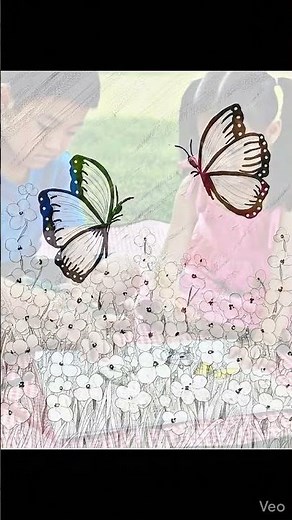 Coloring Beautiful Butterflies: Relaxing Butterfly Coloring Pages