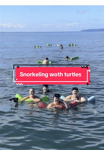 Hawai’i day 6 | Snorkeling with turtles and whale watching as well, today was my favourite #travel #2025 #fyp #girllife #girlinher20s #inyour20s #vlog #summer #snorkeling