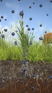 “Roots So Deep (you can see the devil down there)” is a 4-part documentary series about inventive farmers and maverick scientists building a path to solving climate change with hooves, heart and soil. Cattle have been seen as eco-villains for a long time. What if they can be heroes instead? Watch all four episodes NOW at rootssodeep.org! A Groundbreaking Research Project 10 years in the making… Can an underutilized way to graze cattle, that mimics the way bison once roamed the land, help get far