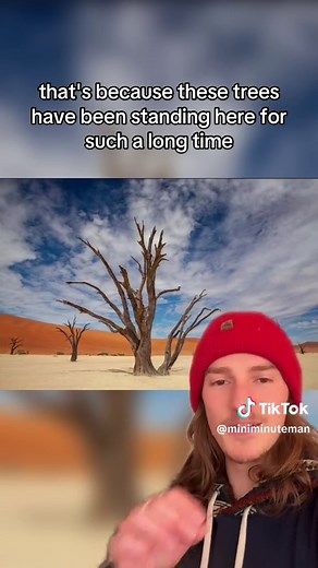 Deadvlei: An Ancient Namib Desert Mystery