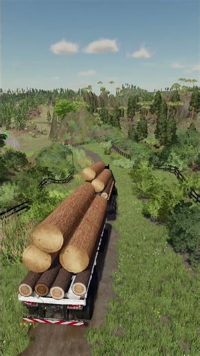 #fs22 #woodworking #logging #gaming #shorts #truck