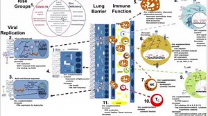 4.6K views · 90 reactions | Vitamin C and zinc, 2 of the most important nutrients during cold and flu season... | Dr. Peter Osborne | Facebook