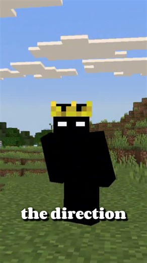 Does it works if we place a sun flower in the nether fortress ????? #minecraft #funny #viral #trend