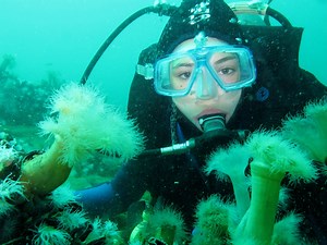 Angleseyisle's guide to Scuba Diving in Anglesey, check it out now