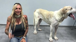 42K views · 1.6K reactions | Åhhh den kære Kesslerdreng  En lille up...