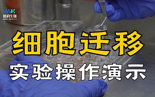 Transwell | 细胞迁移的实验操作全过程具体演示