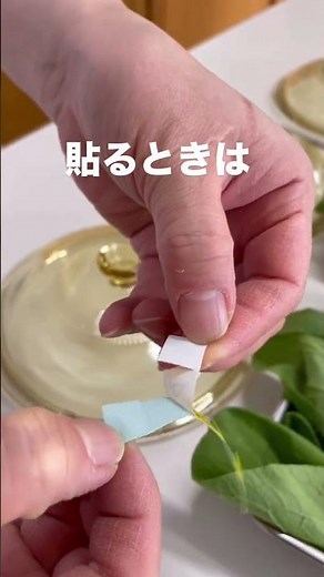 テプラでナンバリング！1枚ずつめくるのが大変なので、12345を何度も印刷して、ハサミで切り込みを入れて、いっきにはがしてから54321と貼ります。