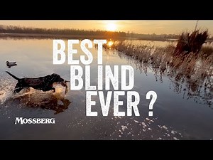 Best Duck Blind Ever? | Duck Hunting
