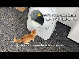 Catlink Young Pro-X Review: The Best Automatic Litter Box If You Hate Apps (2025)