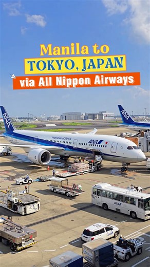 45K views · 491 reactions | All Nippon Airways (ANA) is Japan’s...
