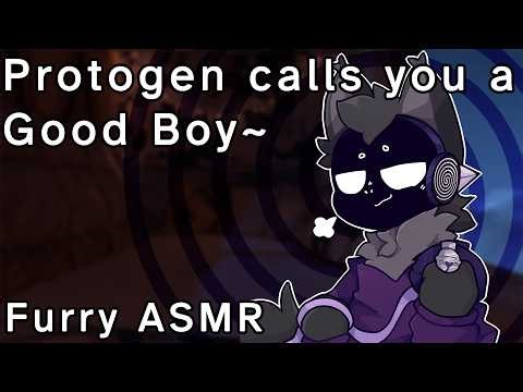 [Furry ASMR] Proot calls you a good boy and collars you~