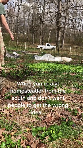 Embracing Homesteading: A Journey to Self-Sufficiency