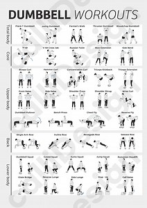 38 Types of Dumbbell Exercise Illustrations and 1 Type of Poster File - Etsy UK