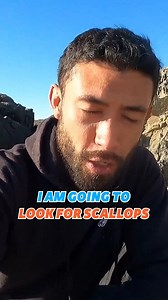 We Are Looking for Scallops! 🦪 #scallop #fishing | Fisherman's Life