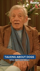 We sat down with @ianmckellen as he stars in Frank and Percy alongside Roger Allam. The new play follows two men as they sit on a park bench and chat. Find out more at the link in our bio! | WhatsOnStage