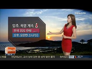 150808 기상캐스터 이귀주